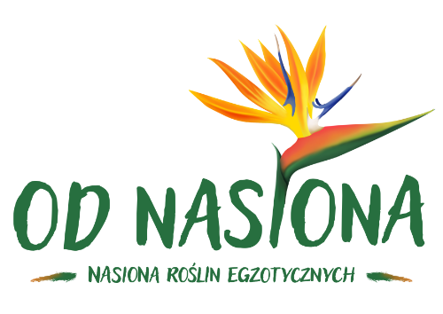 OdNasiona kod rabatowy 10%